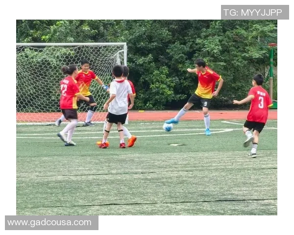 武汉足球队的节奏与发展探讨聚焦于城市足球文化的崛起与未来